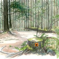 Joie de se souvenir du Chemin, avec photos et/ou dessins !